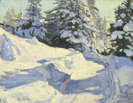 Sapins enneigés