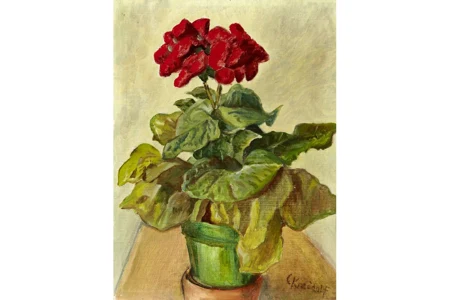 Stillleben mit roter Topfpflanze