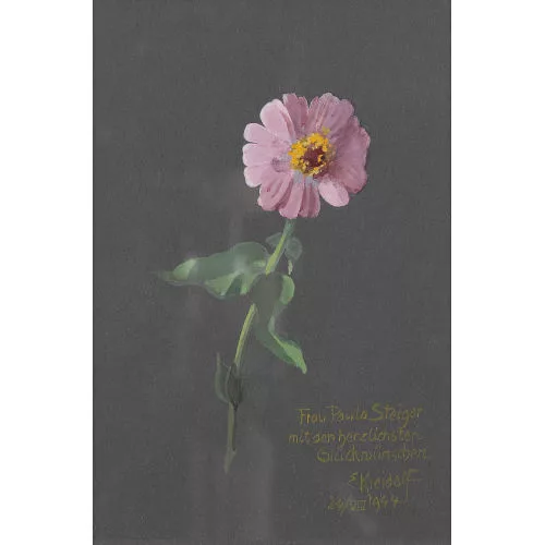 Ernst Kreidolf — Zinia.