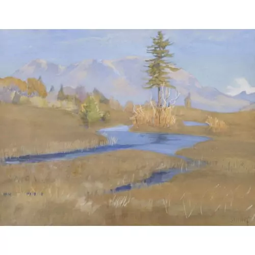 "Hochmoor"