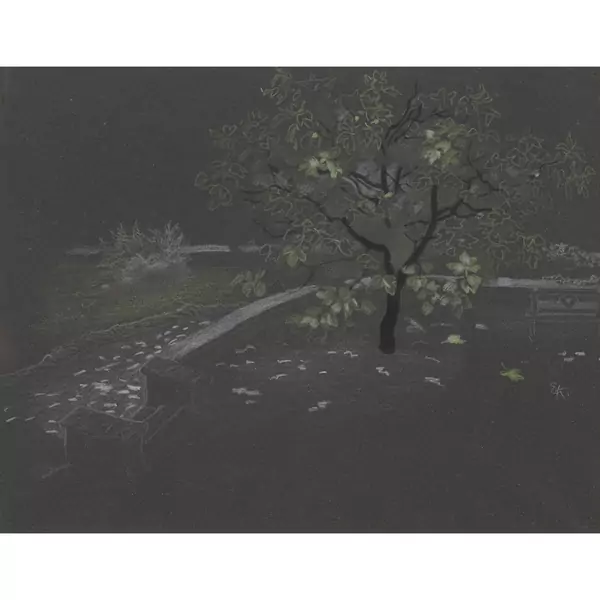 Baum am Fluss