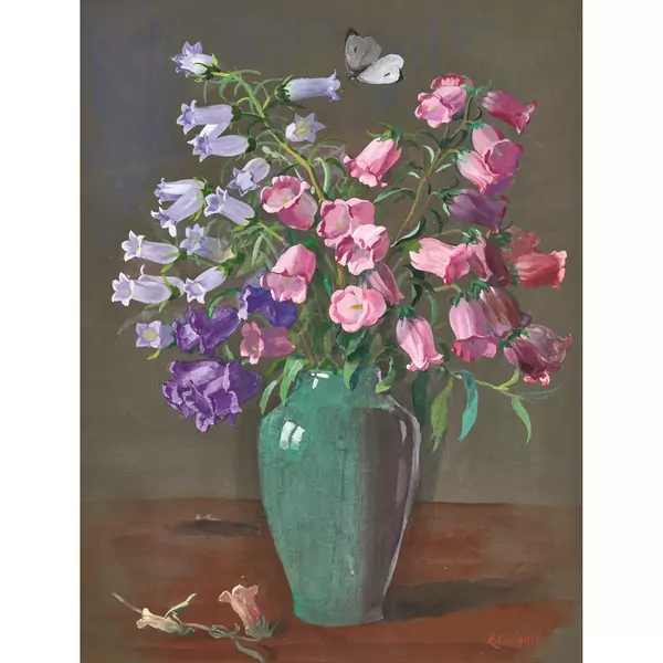 "Campanula"
