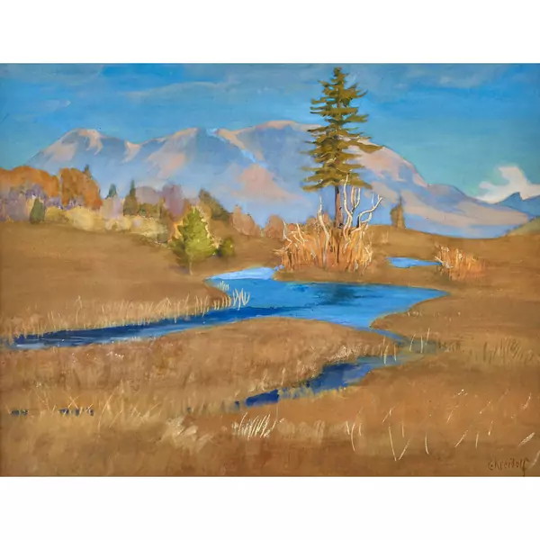 "Hochmoor"