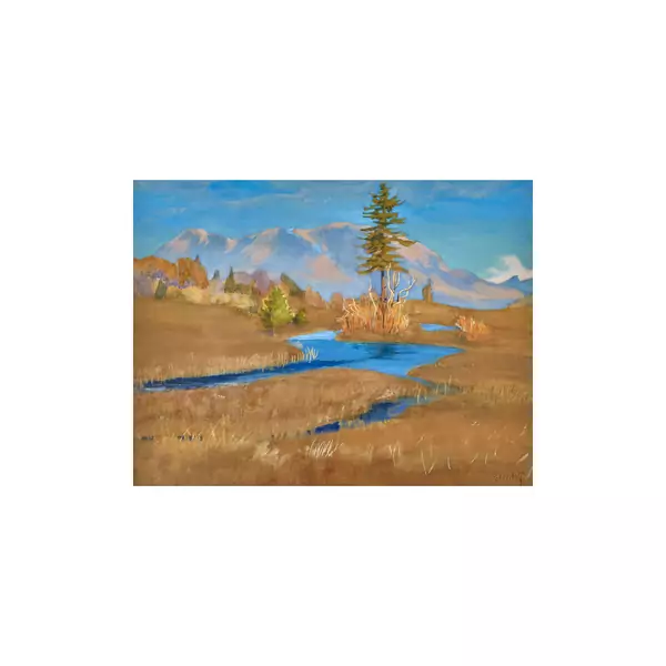 "Hochmoor"