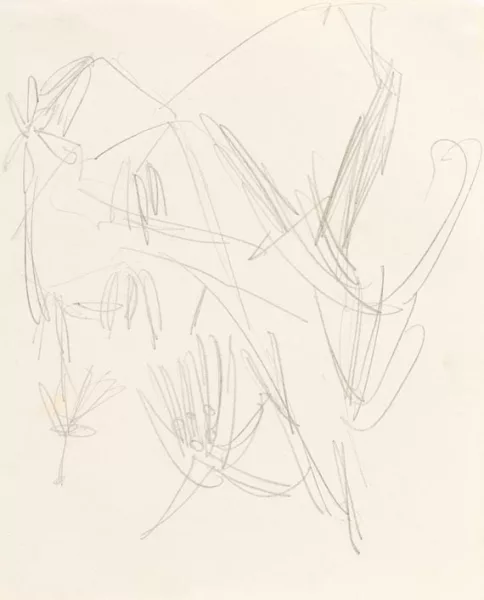 Ernst Ludwig Kirchner — Berglandschaft mit Edelweiß