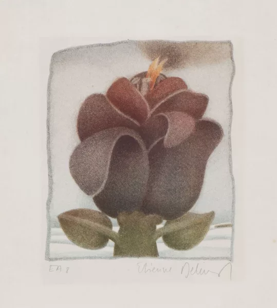 Etienne Delessert — Etienne DELESSERT (1941), 'Fleur', lithographie