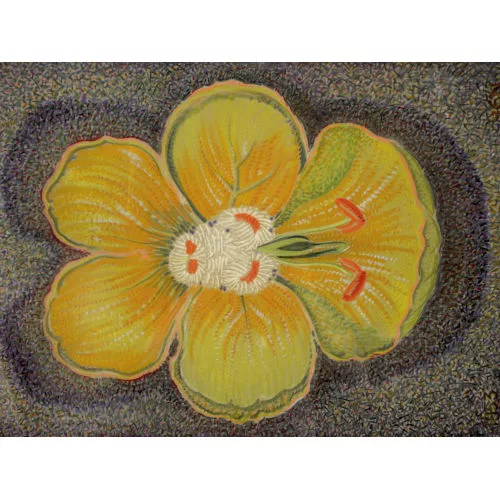 EUGEN NIEDERER — Blume.