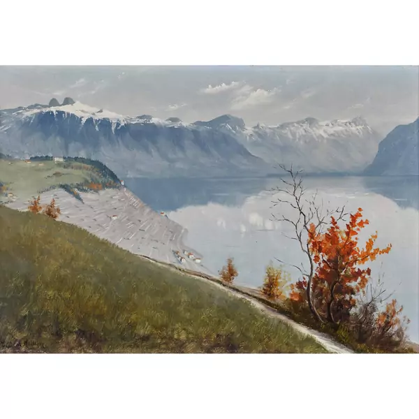 Rebberg im Lavaux oberhalb des Genfersees