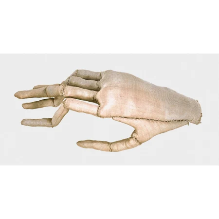 Hand