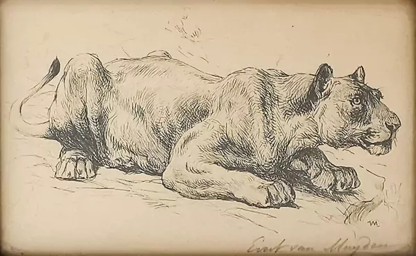 Evert van Muyden (1853-1922) — Genève Enchères