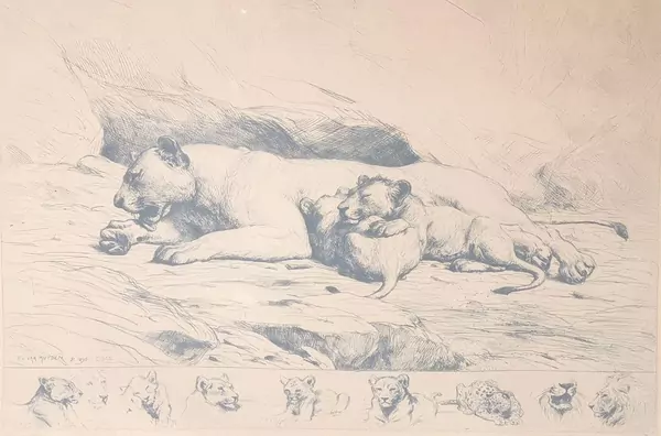 Evert van Muyden (1853-1922) — Genève Enchères