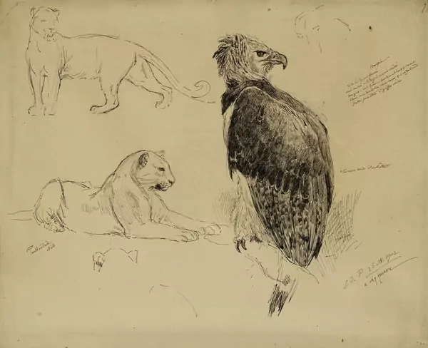 Evert van Muyden (1853-1922) — Genève Enchères