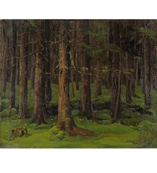 Félix Vallotton — Sous-bois, environs de Lausanne