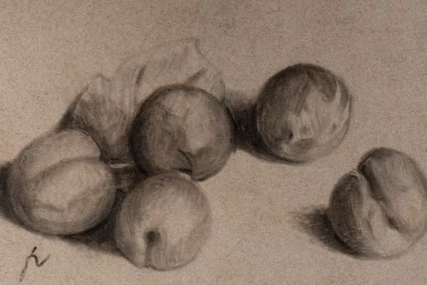 Félix VALLOTTON (1865-1925), "Cinq pommes", fusain — DognyAuction