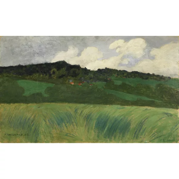 Félix Vallotton — Paysage à la Naz