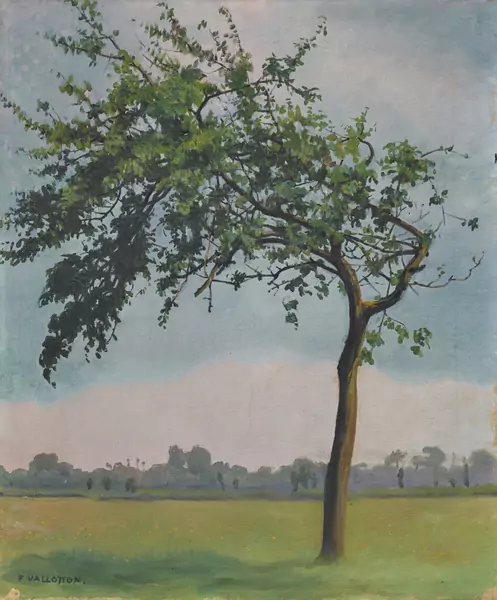Félix Vallotton — Le pommier, Varengeville