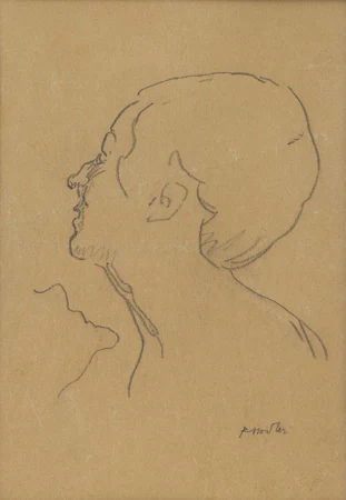 Ferdinand Hodler (1853-1918) — Genève Enchères