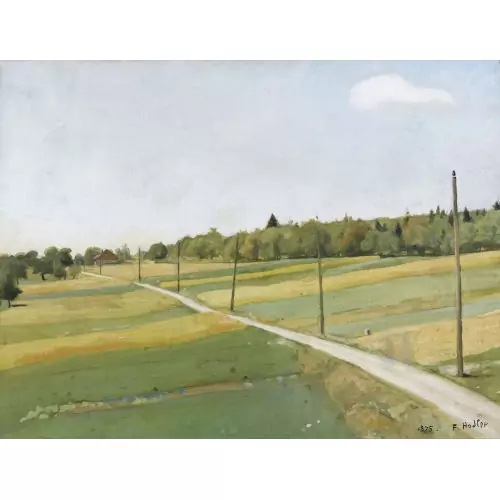 Feldweg mit Telegrafenmasten