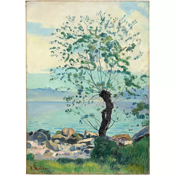 Ferdinand Hodler — Weidenbaum am Genfersee — Galerie Kornfeld