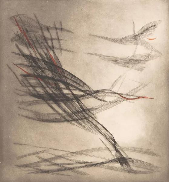 Ferdinand Springer — Sans titre