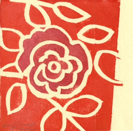 Rose rot, 1964