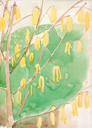 Haselnussblüten, 1948