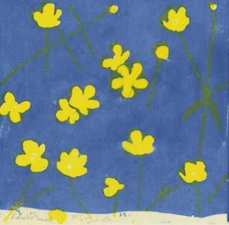 Hahnenfuss, 1964
