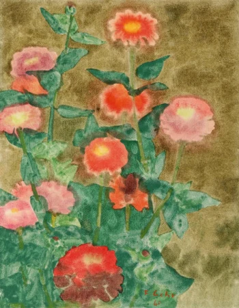 Zinnien, 1960