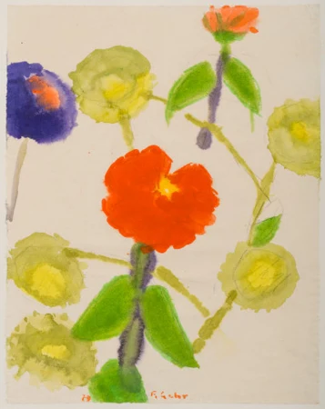 Dahlien, 1979