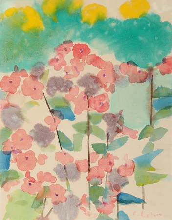 Phlox