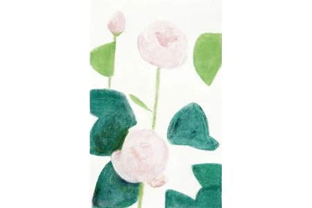 Rosen