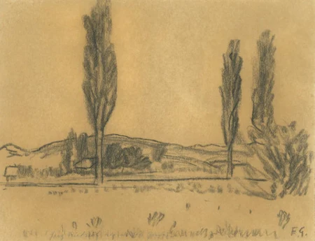 Riedlandschaft