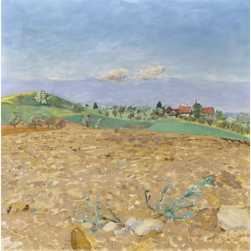 Feldlandschaft mit Schloss Watt in Mörschwil