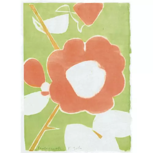 "Rose orange"