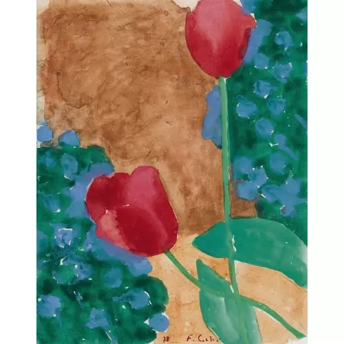Tulpen