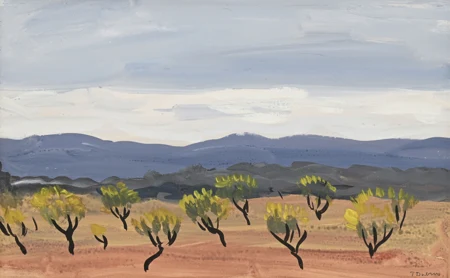 Les vignes