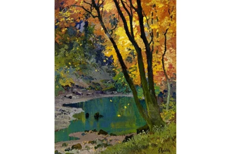 Automne - Cours d'Eau en Forêt