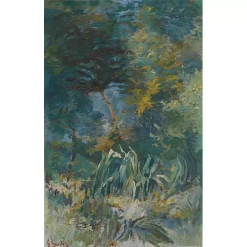 Sonnige Waldlichtung