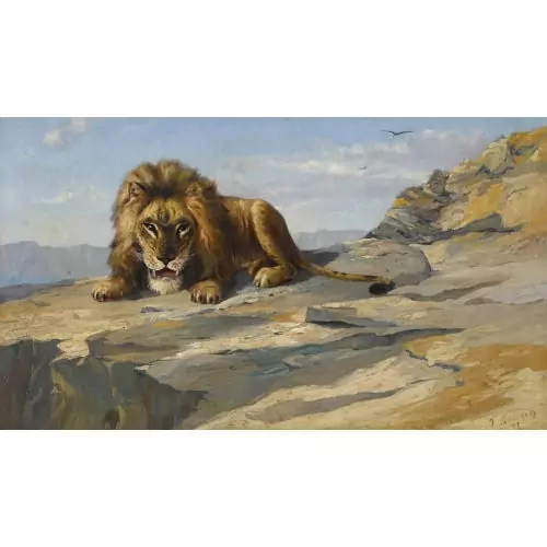 "Grand Lion au repos"