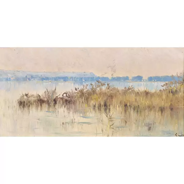 Uferlandschaft