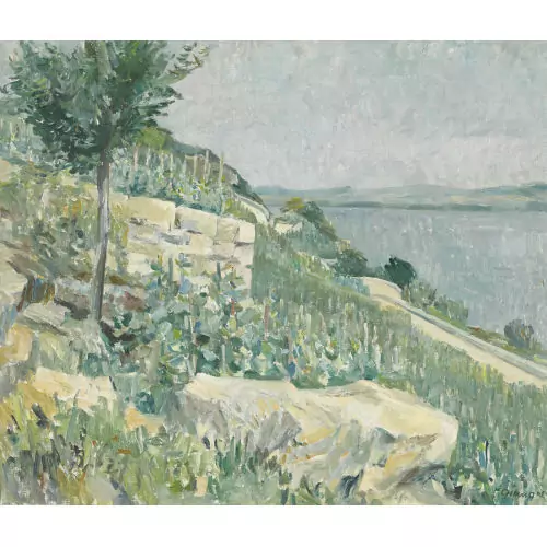 "Landschaft am Bielersee"