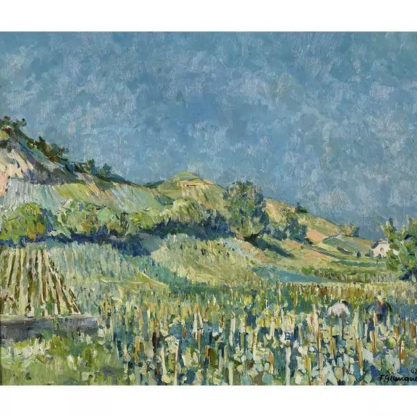 Landschaft mit Weinbergen