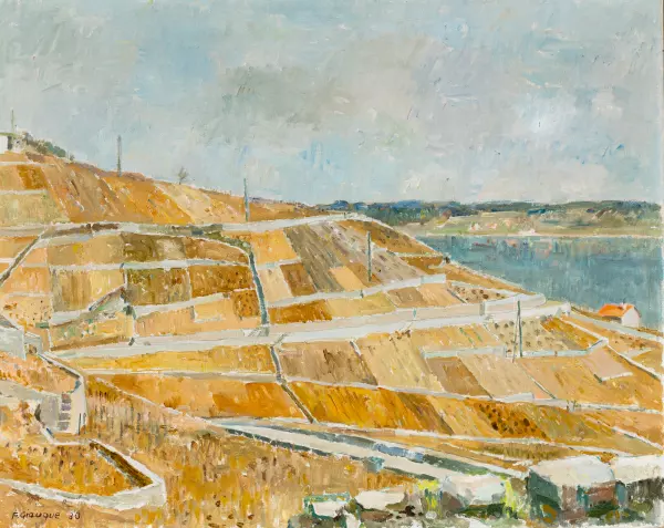 Vignoble