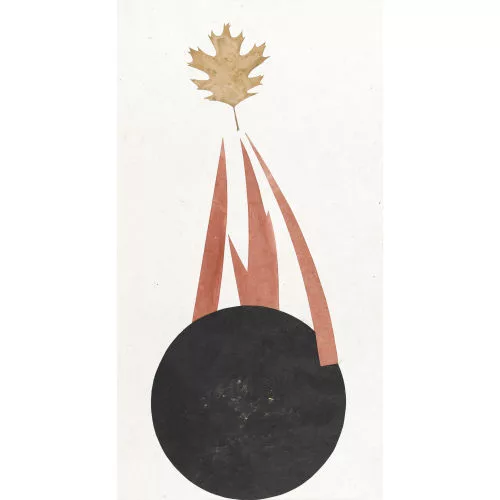 Flavio Paolucci — "Incontro col fuoco".