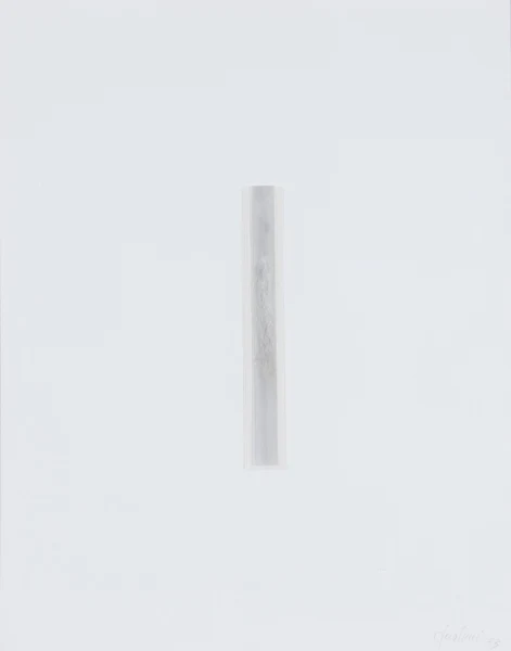 Flavio Paolucci — Biasca, 1973