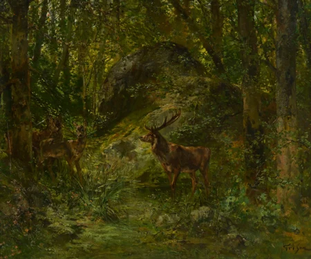 Cerf et biches en forêt