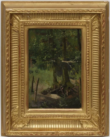 Forêt
