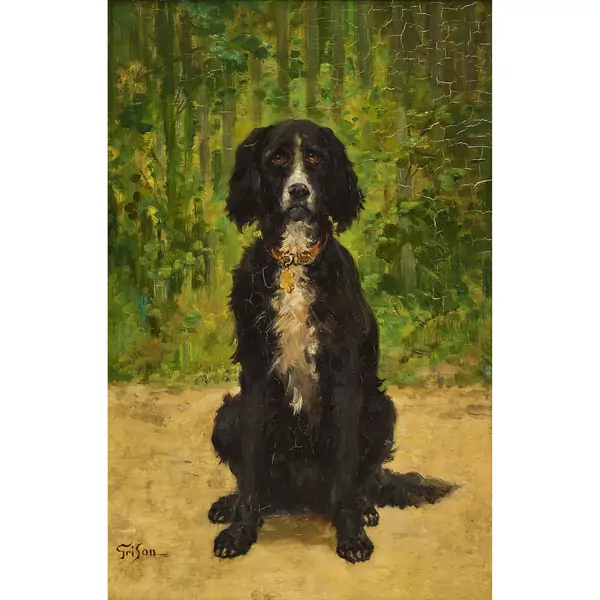 Le chien