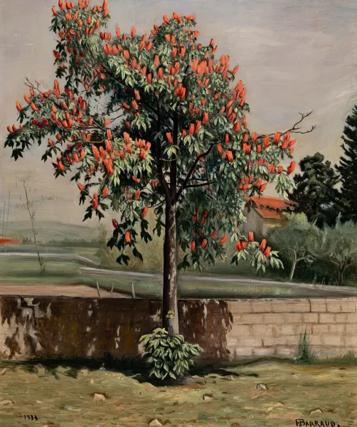 François Barraud — Blühender Magnolienbaum