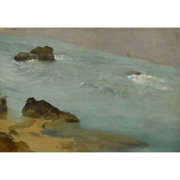 "Rochers émergeants sur la côte vaudoise"